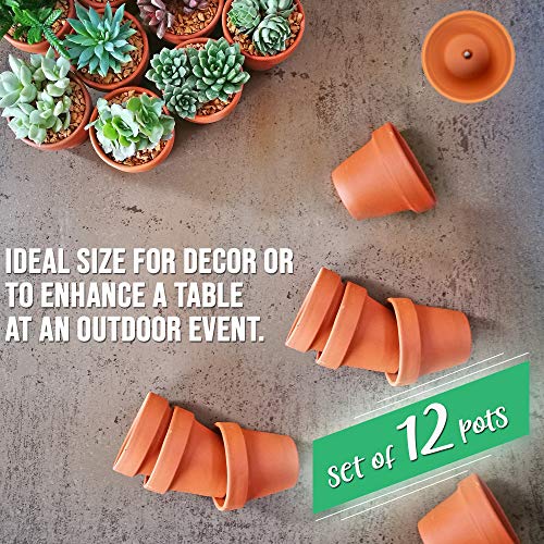 Garden Mania - 12 Macetas para Flores de Terracota, Ollas de Barro Ceramico, 8cm - Mini Cactus Suculento Miniatura Macetas Pequeñas para Artes y Oficios, Favores de Boda, Decoración.