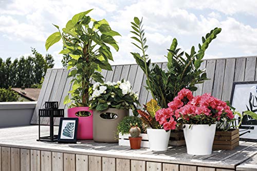 GF Garden FOR Everyday Bolso de plástico, contenedor, con asas, colorido, Tortora