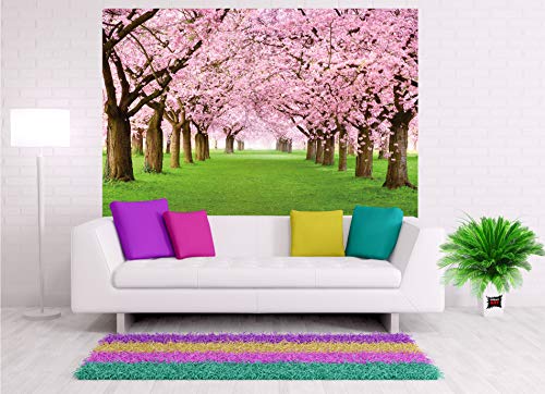 GREAT ART Mural De Pared – Mural De Flor De Cerezo –Flores Primavera Jardín Planta Bosque Parque Naturaleza para Florecer Árbol Avenida Foto Tapiz Y Decoración (210x140 Cm)