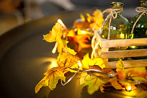 HEITMANN DECO - Guirnalda eléctrica con Hojas de Arce - Guirnalda Decorativa de otoño con 20 Leds - a Pilas; para Uso en Interiores