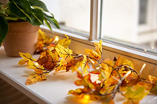 HEITMANN DECO - Guirnalda eléctrica con Hojas de Arce - Guirnalda Decorativa de otoño con 20 Leds - a Pilas; para Uso en Interiores