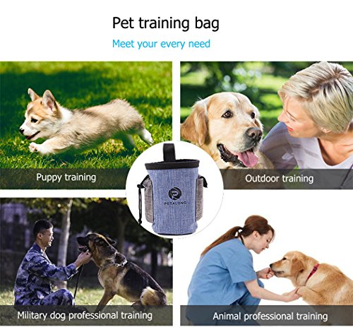 Hillento Bolsa de Entrenamiento del Perro con la Correa Lleva golosinas Juguetes para Mascotas Deporte Corriendo Lazo de la Cintura Bolsa de dispensador de Bolsas de Caca, Rojo