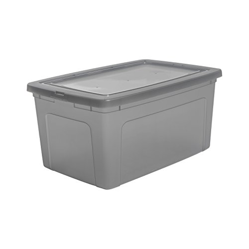 Iris Ohyama MCB-50 - Lote de 3 Cajas de Almacenamiento con Tapa, 50L