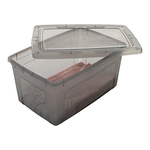 Iris Ohyama MCB-50 - Lote de 3 Cajas de Almacenamiento con Tapa, 50L