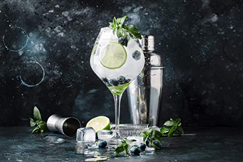 Juego de coctelera de cócteles prémium de CocktailMeister para profesionales, juego de cócteles, ideal para el hogar o el bar