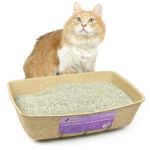 KittyDoo Arenero Gatos, Higiénica, Bandeja Sanitaria Desechable, Caja De Cartón Respirable para Gatos (Paquete de 3)