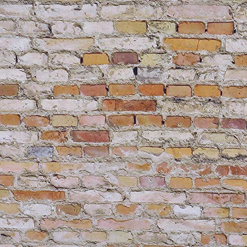 laamei Tapiz de Ladrillo Colgante de Pared 3D Realista Vintage Tapicería Estampado Piedra Fotomural Decoración de Hogar(230x180cm) (Ladrillo Marrón, 230cmx180cm)