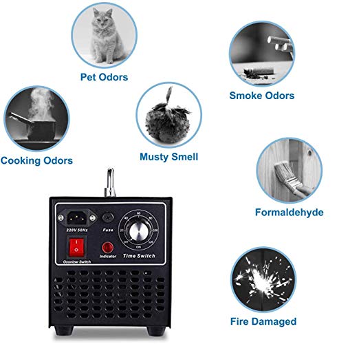 Lumemery Generador de ozono Industrial 10000mg/h O3 Ozonizador Purificador Aire Comercial Desodorizador Alta Resistencia para Oficina Cocina del Hotel