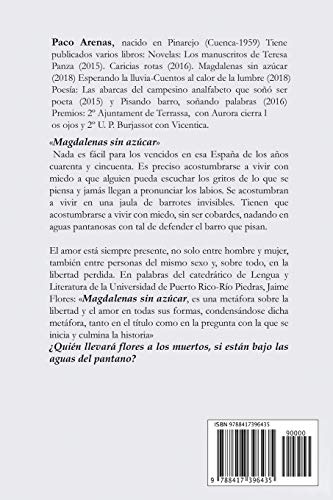 Magdalenas sin azúcar (Novela)