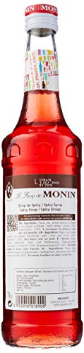 Monin - Spicy Syrup - 700ml