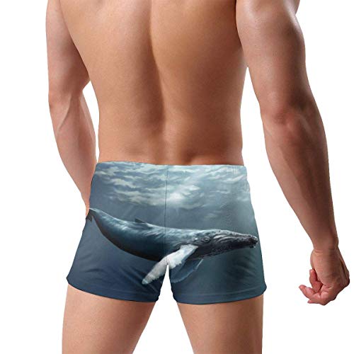 NHNH Trajes de baño para Hombres Trajes de baño Calzoncillos de Ballena de Agua Breves Trajes de baño de Secado rápido Pantalones Cortos de Junta