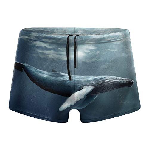 NHNH Trajes de baño para Hombres Trajes de baño Calzoncillos de Ballena de Agua Breves Trajes de baño de Secado rápido Pantalones Cortos de Junta