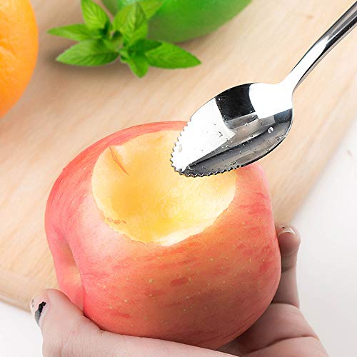 NUANNUAN 6 Pack Cuchara Raspadora de Manzana Suplemento Alimentos para Bebé Fruta Serrado Barro de Fruta Excavación Acero Inoxidable Raspador Multifuncional Extremo Adecuado para Cocina Melón