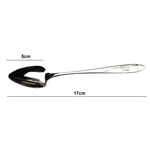 NUANNUAN 6 Pack Cuchara Raspadora de Manzana Suplemento Alimentos para Bebé Fruta Serrado Barro de Fruta Excavación Acero Inoxidable Raspador Multifuncional Extremo Adecuado para Cocina Melón
