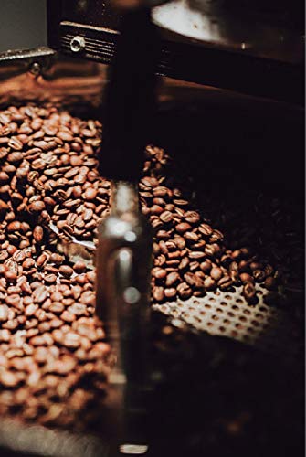 Pack 4 Cajas: Dos Cajas Venita Café Gourmet 100% Arábica Expreso + Dos Cajas Venita Café Gourmet Blend Mezcla Expreso en Cápsulas, 4 Cajas de 10 Monodosis de 5,5 Gramos Cada Una