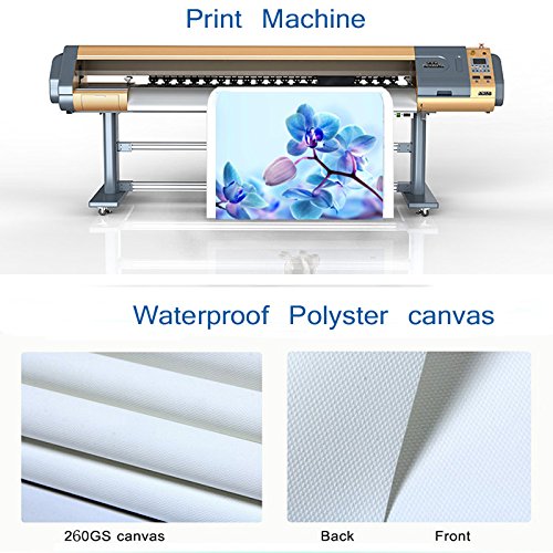PEJHQY Pintura Modular Lienzo Arte de la Pared Imagen Decoración para el hogar 5 Piezas Taza de café en Grano Especias para Sala de Estar Moderno HD Imprimir Poster Frame,Cuadro en Lienzo Tigre