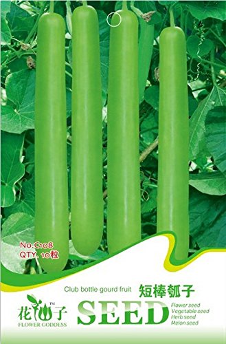 PinkdoseÂ 2018 Hot Sale Green Long Club Bottle Gourd Fruit Seeds, paquete original, 10 semillas/paquete, verduras no GMO comestibles calabazas # C108