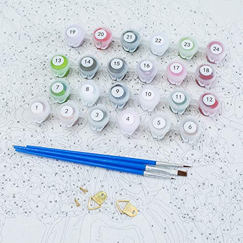 Pintura Por Números Para Adultos Diy Pintura Al Óleo Kit Con Pinceles Y Pinturas Para Niños Para Decoración De Casa,Luna De Pez Cohete - Sin Marco 16X20 Inch