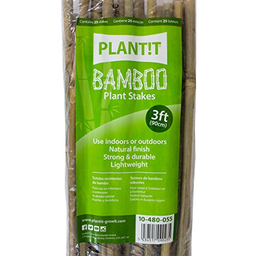 PLANT !T 10-480-055 Estacas de bambú, Paquete de 25 Unidades, Beige, 95x3x6 cm