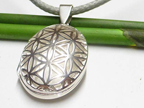 Plata, medallón, colgante, diseño de flor de la vida, filigrana trabajada, regalo, joyas, colgante de amistad,