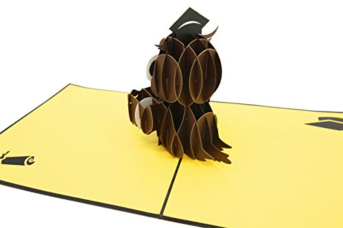 PopLife Cards Graduación búho 3d pop-up tarjeta de felicitación - anuncio de graduado, postgrado, ceremonia de diploma invitar - pliegues planas para correo - felicitaciones, tarjeta de inicio, clase