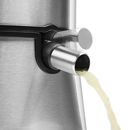 Princess 203041 – Exprimidor, con tubo de alimentación grande, motor de 1000 W