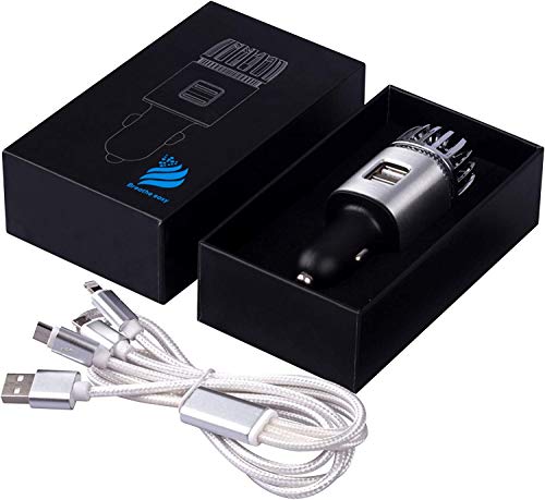 Purificador de aire para coche y cargador rápido de doble puerto 2.1 Amp, generador de ozono iónico para eliminar virus, los malos olores, humo, polen, moho, alérgenos, olor a mascota.