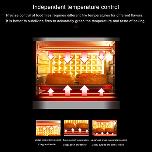 QJJML Horno ConveccióN 40L,Horno EléCtrico Multifuncional De Gran Capacidad para Hornear En Casa, FermentacióN A Baja Temperatura, IluminacióN Incorporada A Prueba Explosiones,90-230 ° Ajustable