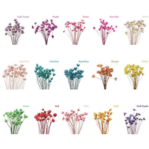 Ramo de flores secas decorativas, mini margaritas pequeñas, ramo de flores naturales para preservar flores para decoración del hogar de boda rosa