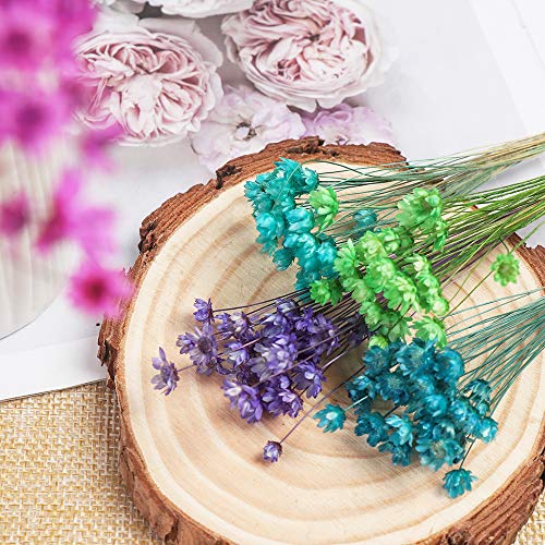 Ramo de flores secas decorativas, mini margaritas pequeñas, ramo de flores naturales para preservar flores para decoración del hogar de boda rosa
