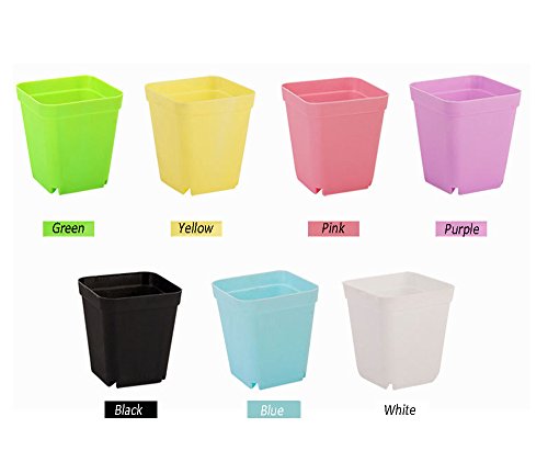 REKYO 21 Paquetes Macetas De Plástico Coloridas Cuadradas con Paletas/Bandejas para Plantas Y Flores De Balcón Jardín Oficina, 20 PCS Piedras Luminoso and 2 Juegos Herramientas