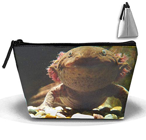 Salamandra Bolsa de artículos de tocador de viaje Monedero para teléfono Estuche para cosméticos Estuche para lápices Tote