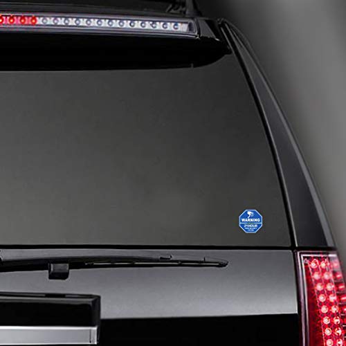 SkinoEu® 2 x PVC Laminado Pegatinas Adhesivos CCTV Advertencia 24 Horas Cámara Vigilancia Video Seguridad para Autos Coches B 65