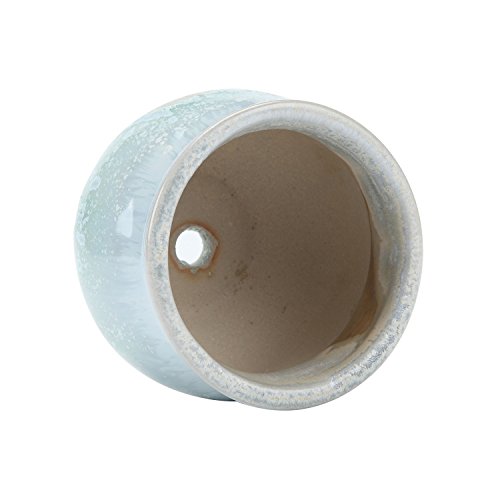 T4U 6CM Macetas para Cactus Mini Paquete de 6, Pequeñas Maceta Suculentas de Ceramica Redondo para Plantas Bonsai Maceteros Decorativos Interior