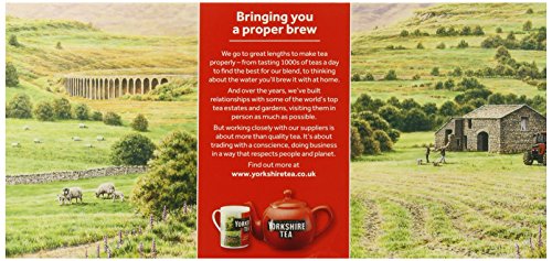 Taylors of Harrogate Yorkshire, Black Tea 240 bolsas - 1 unidad