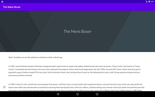 The Mens Boxer