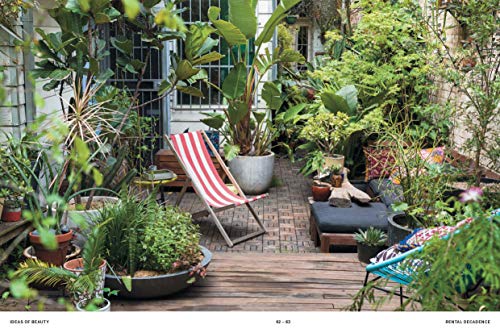 The Planthunter