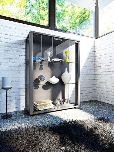 VCM 911994 sintalo Vitrina Independiente sin iluminación LED, Madera/Vidrio Plata 80 x 60 x 25 cm