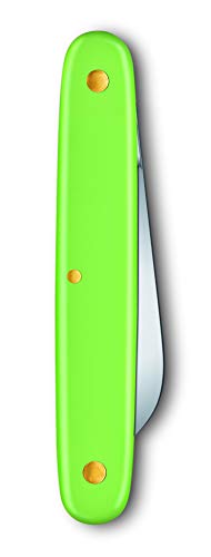 Victorinox V39050.47B1 Navaja P/Flores, Verde, S