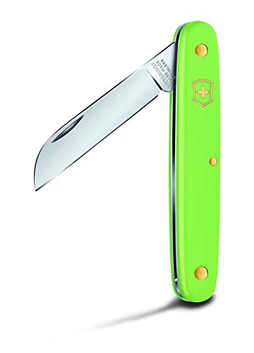 Victorinox V39050.47B1 Navaja P/Flores, Verde, S