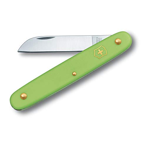 Victorinox V39050.47B1 Navaja P/Flores, Verde, S