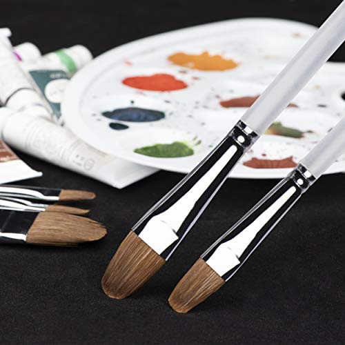 Weasel de Marta Roja Cabello Aceite de Artista Pinceles para Pintura acrílica Gouache y Pintura – Juego de Pinceles de Acuarela Cepillo Claro Mango de plástico 6pcs