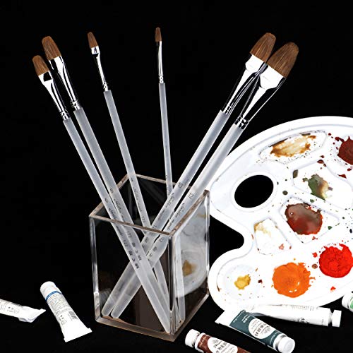 Weasel de Marta Roja Cabello Aceite de Artista Pinceles para Pintura acrílica Gouache y Pintura – Juego de Pinceles de Acuarela Cepillo Claro Mango de plástico 6pcs