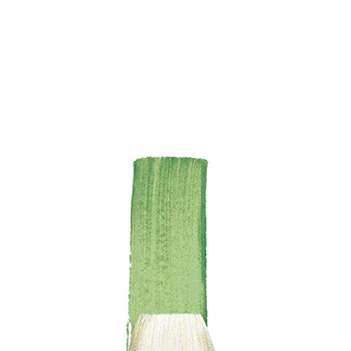 Winsor & Newton Winton Pincel óleo y acrílico, Madera, Verde, 36x2.2x4.6 cm