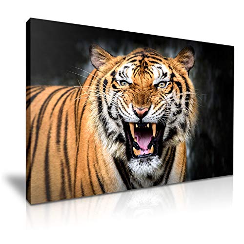 YES ART - Lienzo Decorativo (76 x 50 cm), diseño de Tigre Bengala
