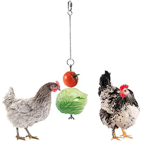 Yinuoday 2 Piezas de Juguetes para Gallinas Juguetes para Picotear Gallinas Accesorios de Gallinero de Acero Inoxidable con Cadena Colgante Y Gancho para Colgar Verduras Alimentador de