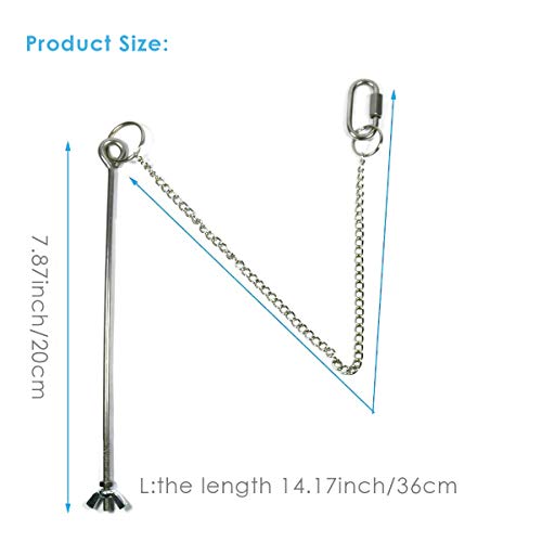 Yinuoday 2 Piezas de Juguetes para Gallinas Juguetes para Picotear Gallinas Accesorios de Gallinero de Acero Inoxidable con Cadena Colgante Y Gancho para Colgar Verduras Alimentador de