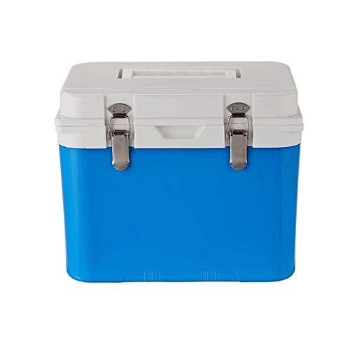 YJDQYDSH Portátil Caja Refrigerada de Insulina,Fármaco Almacenamiento Médico Bolsa de Refrigeración,No Cobrar Pantalla de Temperatura Protección Del Medio Ambiente Casa Viajes Al Aire Libre