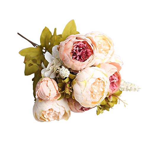 YYCVVH Flores preservadas 13 peonía de Cabello-Pasta de Frijoles para la decoración del hogar, Manualidades, Regalo, Boda o Cualquier ocasión 5 Palos