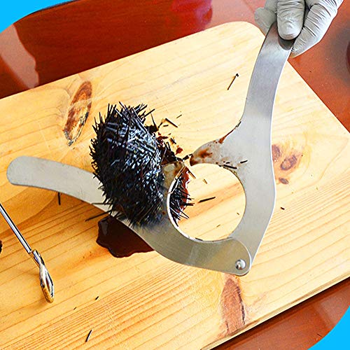 YYRL Abridor de Erizo de Cocina, Cortador de Erizo de mar de Acero Inoxidable, Herramienta Multifuncional para mariscos